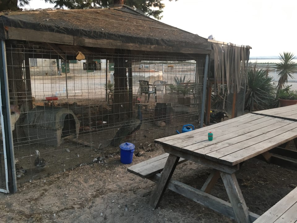 Sonstiges Guesthouse El Refugio