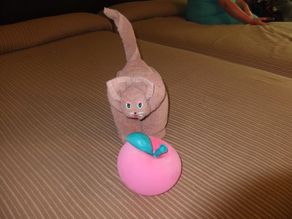 Hat die Putzfrau gemacht Hotel Riu Tequila