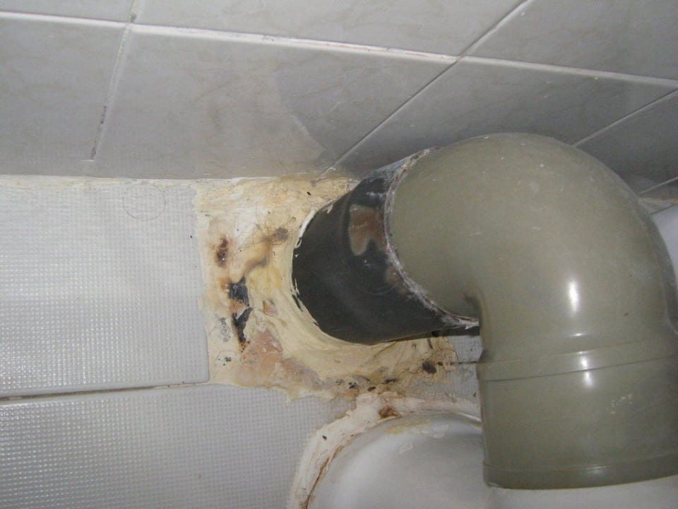 häufchenweise Haare hinter der Toilette Cactus Beach