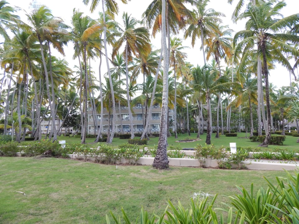 Schön Vista Sol Punta Cana