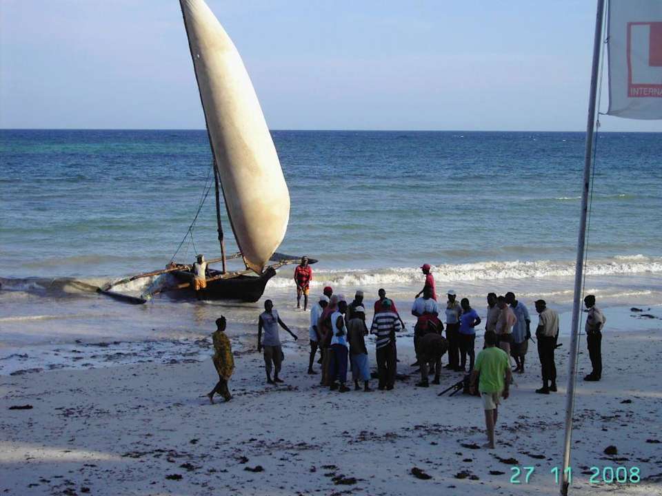 Erfolgreiche Rückkehr vom Fischfang Kaskazi Beach Resort