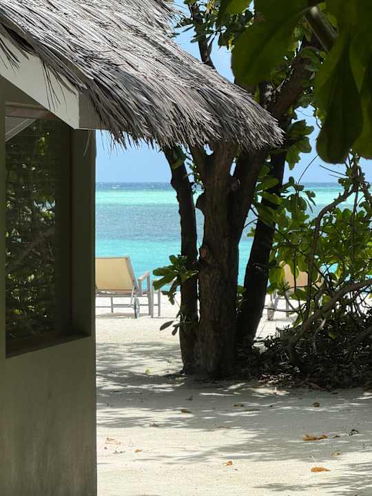 Zimmer Cocoon Maldives