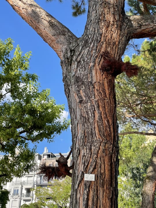 Sonstiges Hôtel du Grand Lac Excelsior