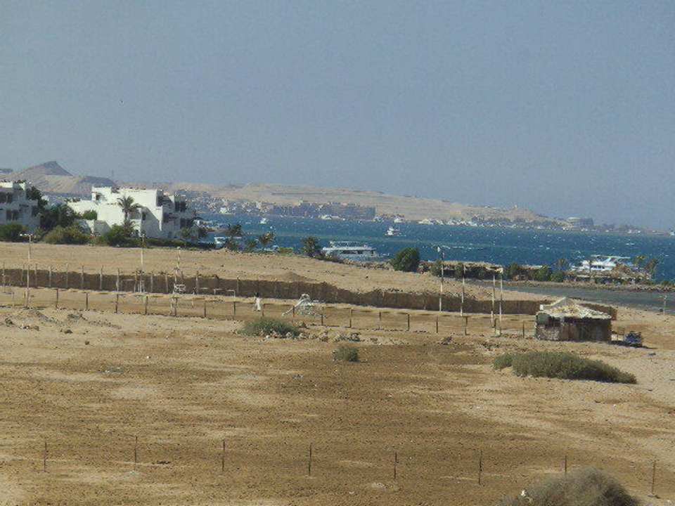 Zimmeraussicht Beach Albatros Resort