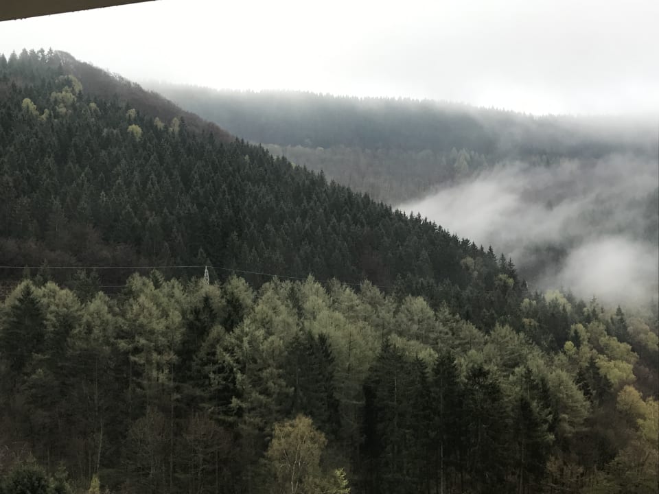Ausblick Panoramic - Ihr Apartmenthotel im Harz