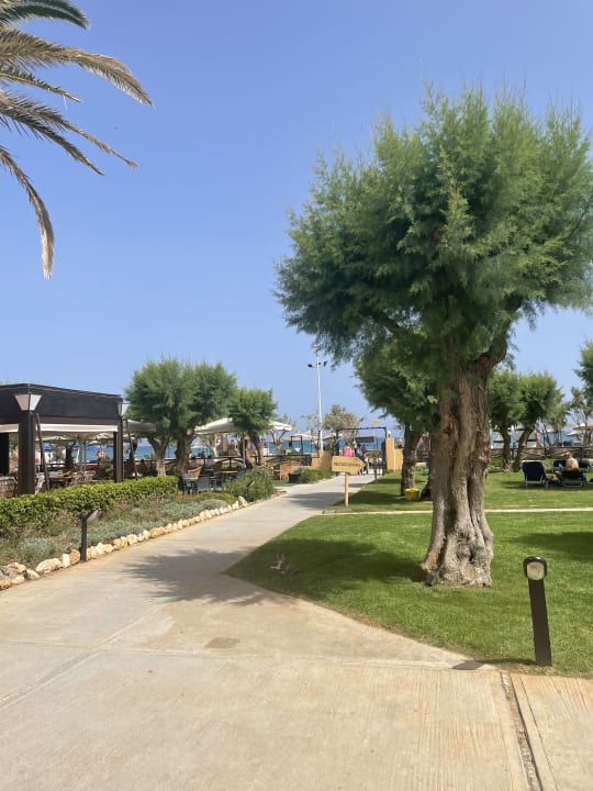 Gartenanlage Anissa Beach & Village
