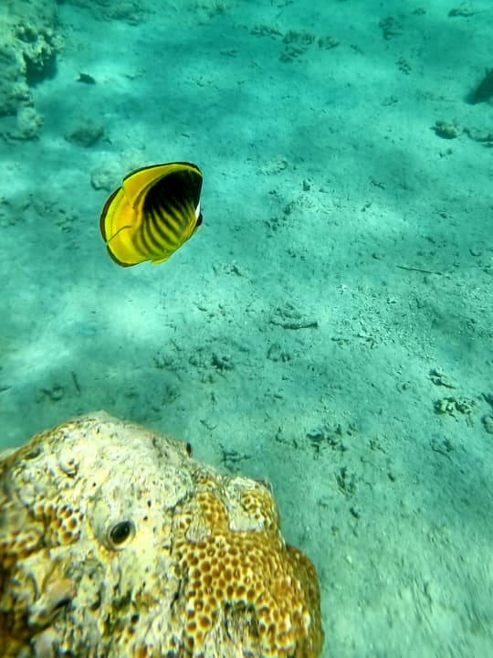 Strand Makadi Spa - Adults only