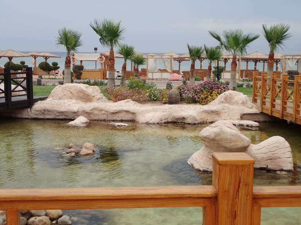 Ausblick Tropitel Sahl Hasheesh