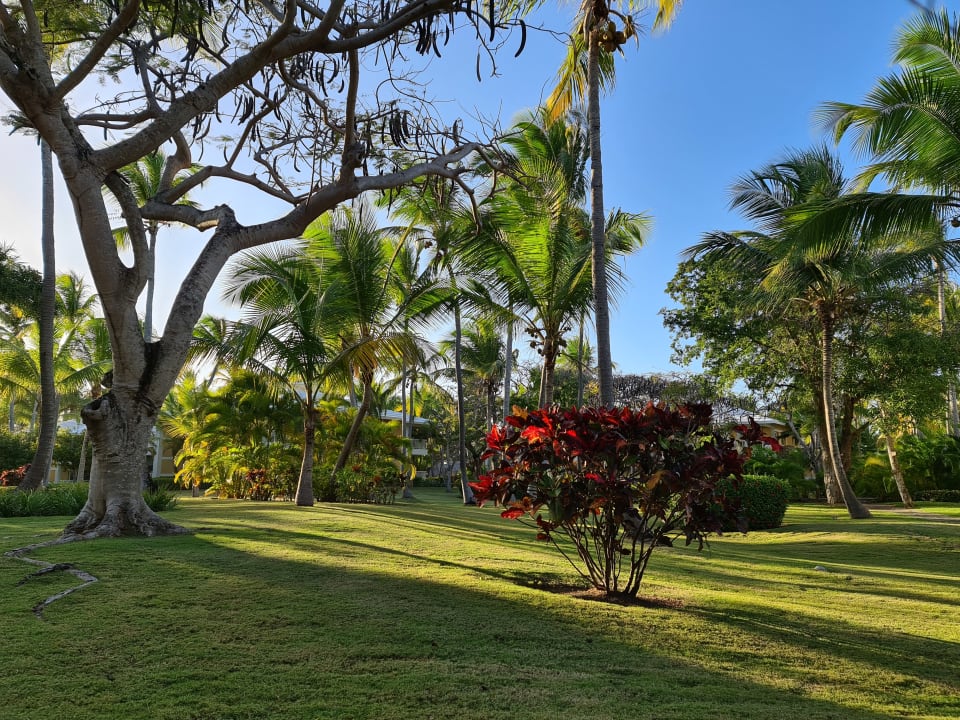 Gartenanlage Grand Palladium Select Bávaro Resort & Spa