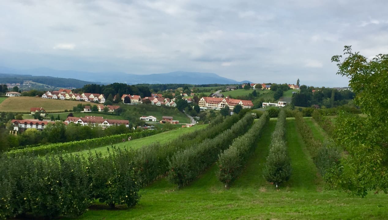 Ausblick Wilfinger Bio Thermen Hotel