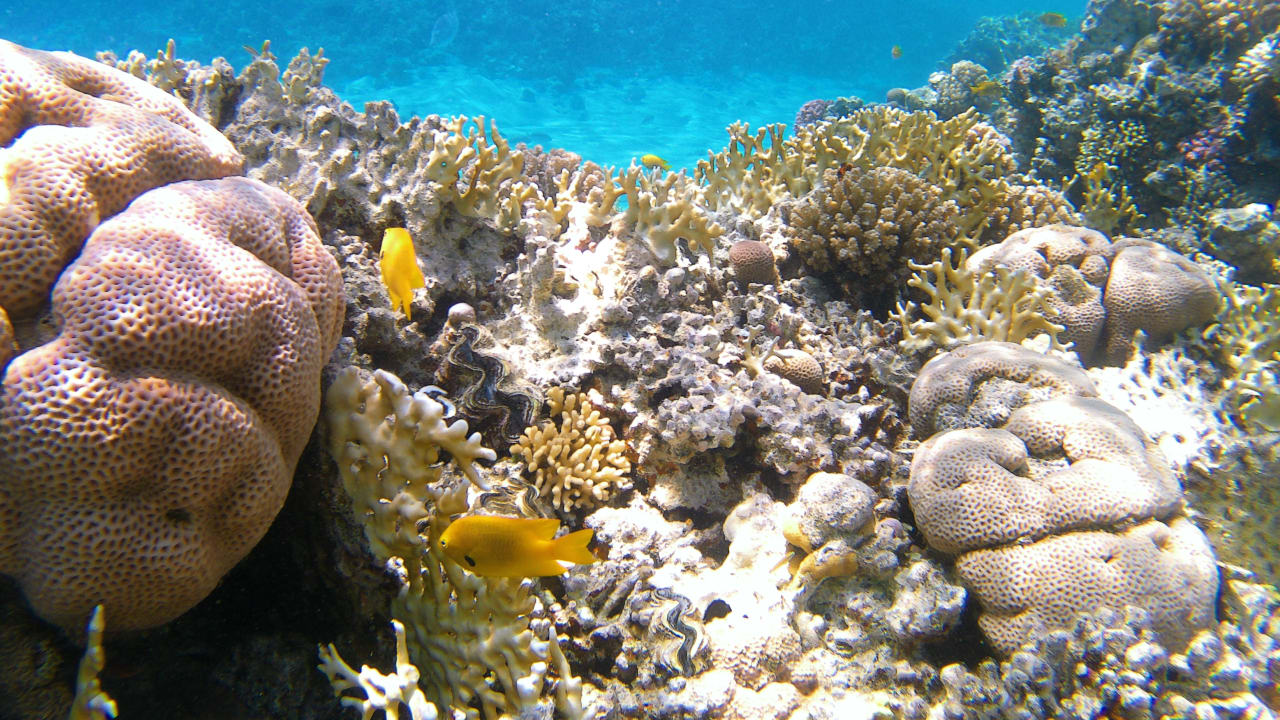 Sport & Freizeit Makadi Spa - Adults only