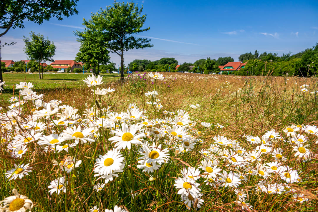 Ausblick Feriendorf am Bakenberg