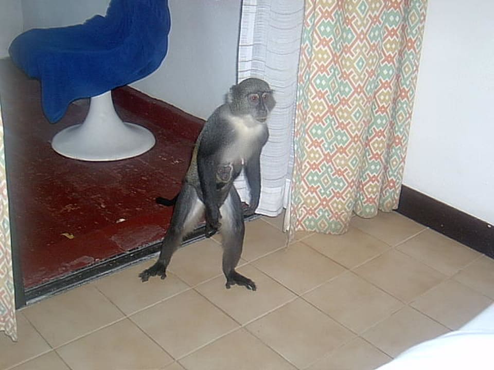 Besuch Hotel Safari Beach