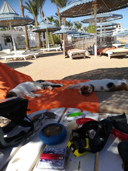 Strand The Grand Hotel Hurghada