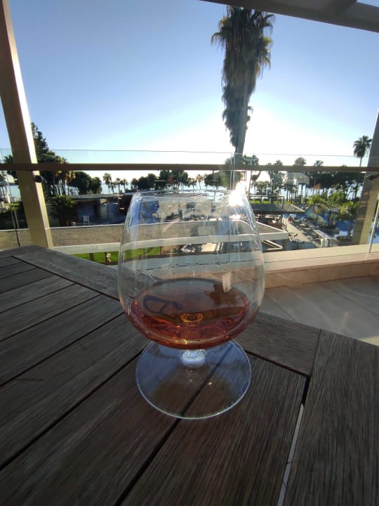 Gastro Acanthus Cennet Barut Collection