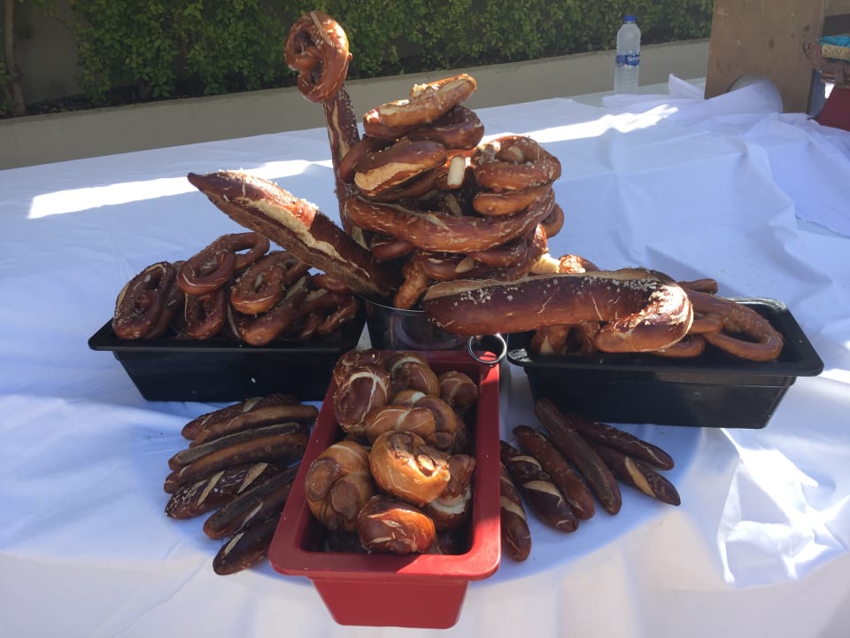 Gastro Seashell Vega