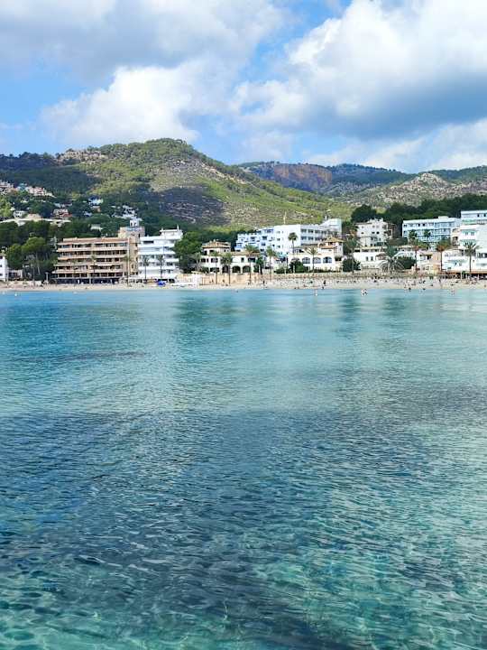 Sonstiges Valentin Reina Paguera