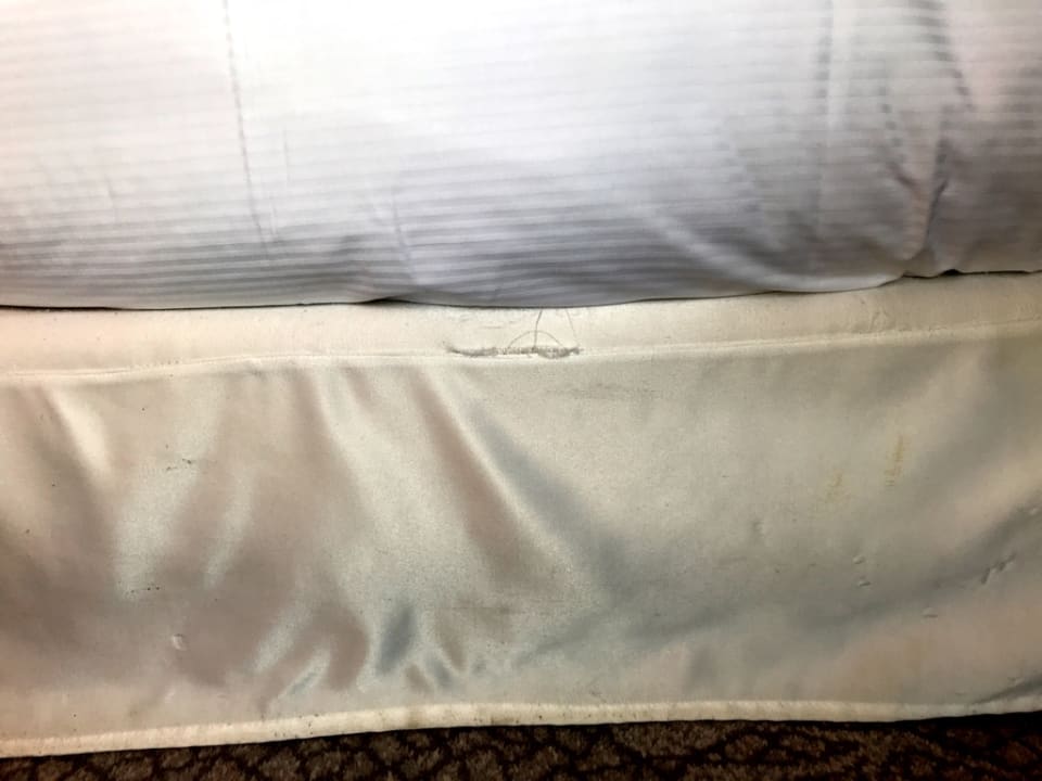 Zimmer Dorint Hotel Bonn