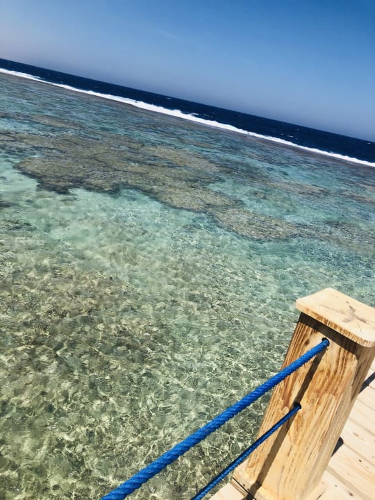Strand Pickalbatros Sea World Resort - Marsa Alam