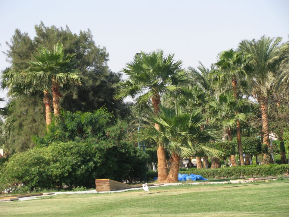 Красота Blend Club Aqua Resort
