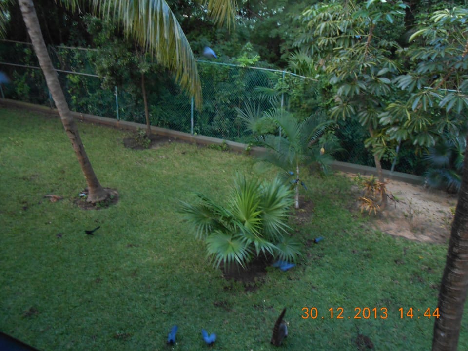 Nette Haustiere Hotel Riu Tequila