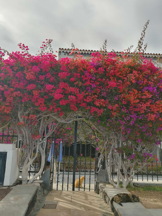 Garten allsun Hotel Lucana