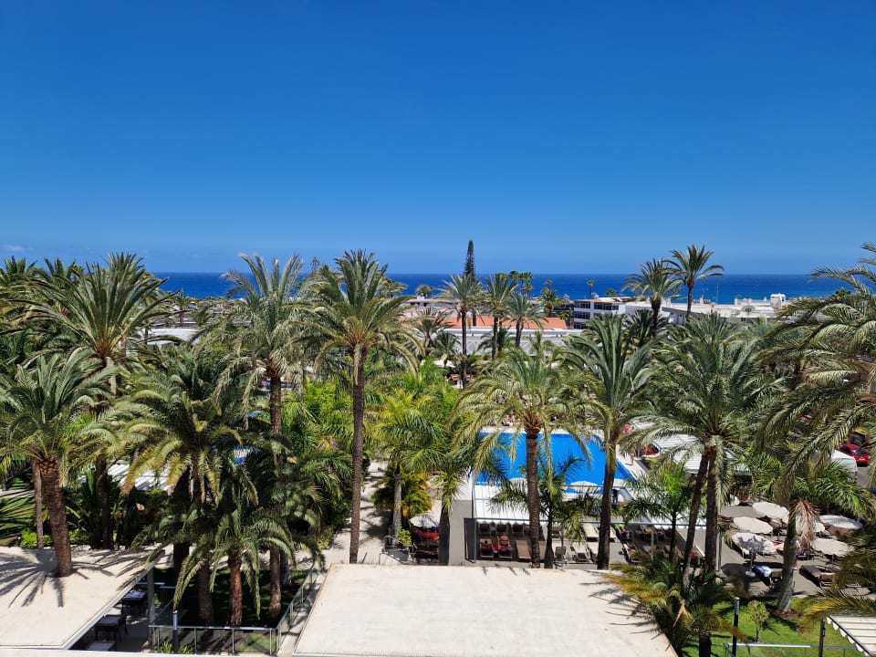 Ausblick Hotel Riu Palace Palmeras