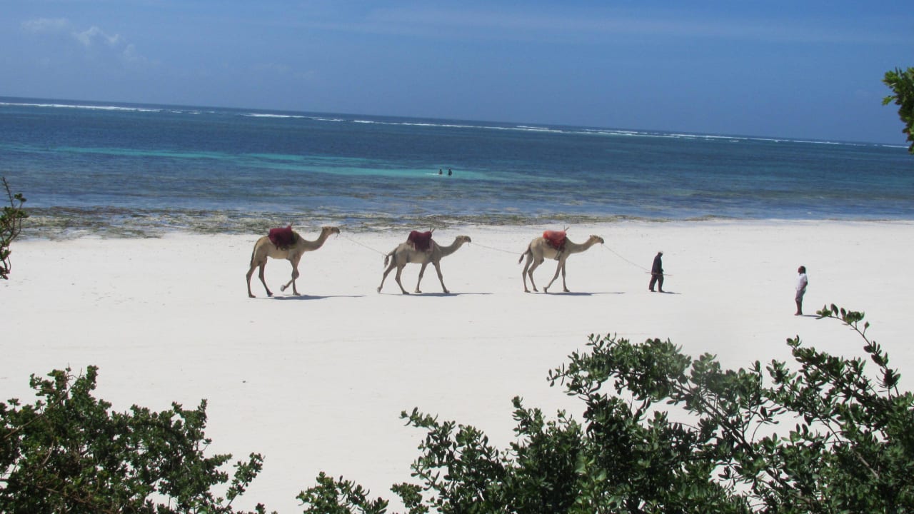 Diani Beach Baobab Beach Resort & Spa