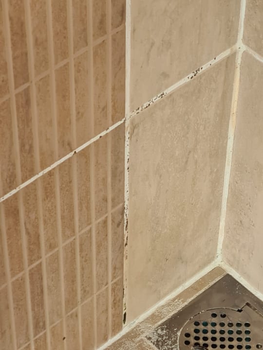 Zimmer Kuredu Island Resort & Spa