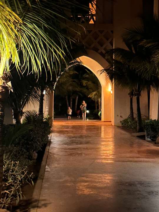 Gartenanlage Hotel Riu Touareg