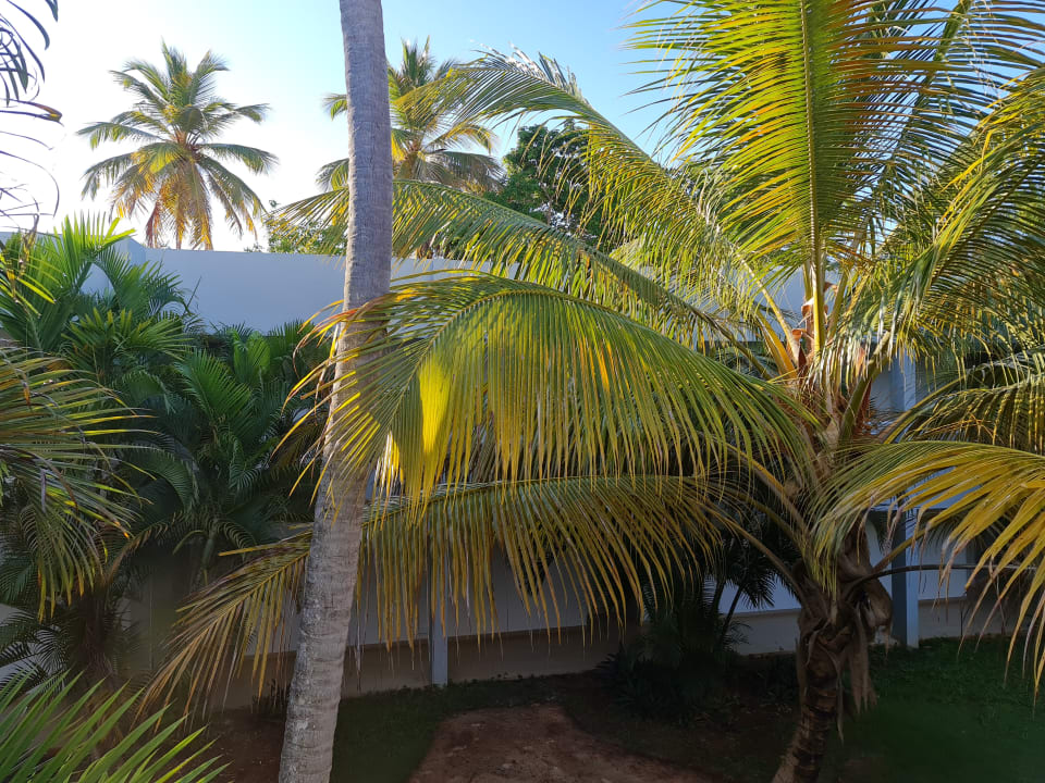 Sonstiges Wyndham Alltra Samana