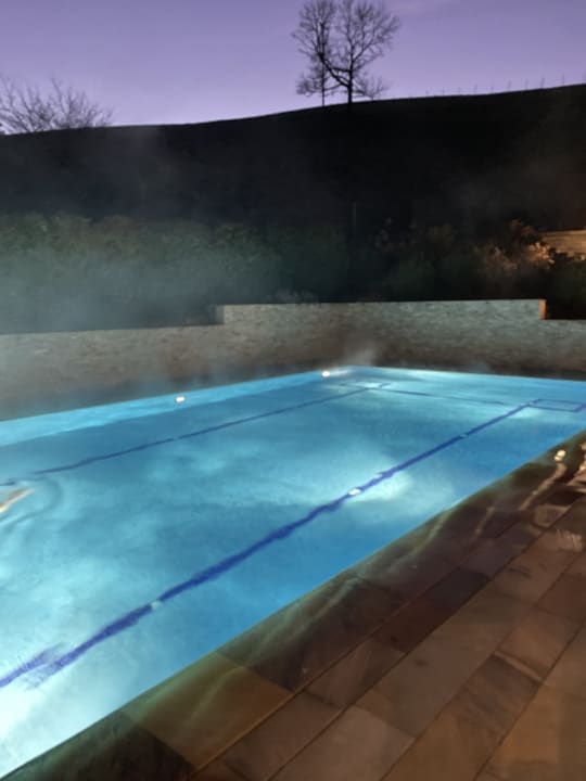 Pool Naturparkhotel Adler