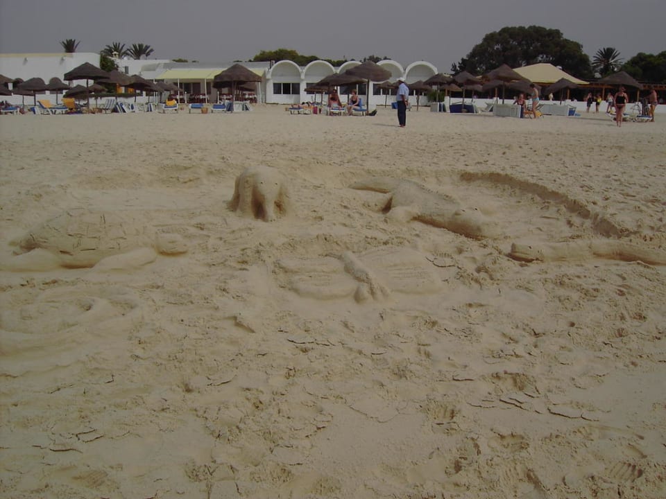 Künstler am Werk Hotel Nesrine