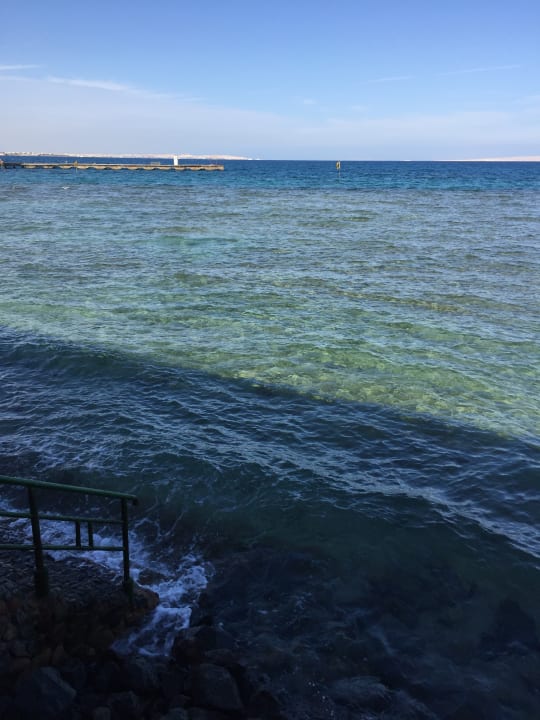 Außenansicht Desert Rose