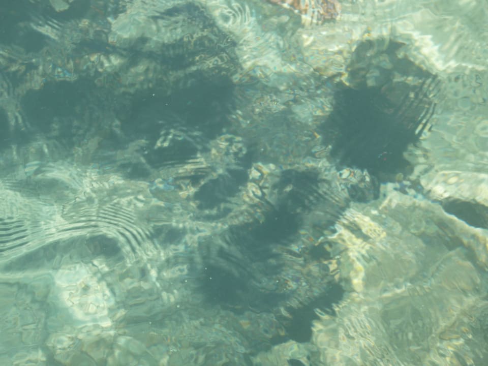 Blick vom Steg auf das Riff Coral Beach Hurghada