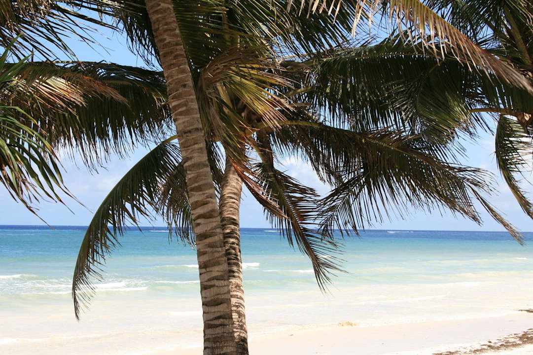 Sonne unter Palmen Kaskazi Beach Resort