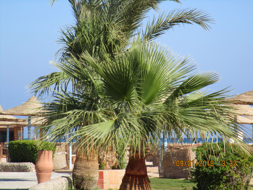 Strand Imperial Shams Abu Soma