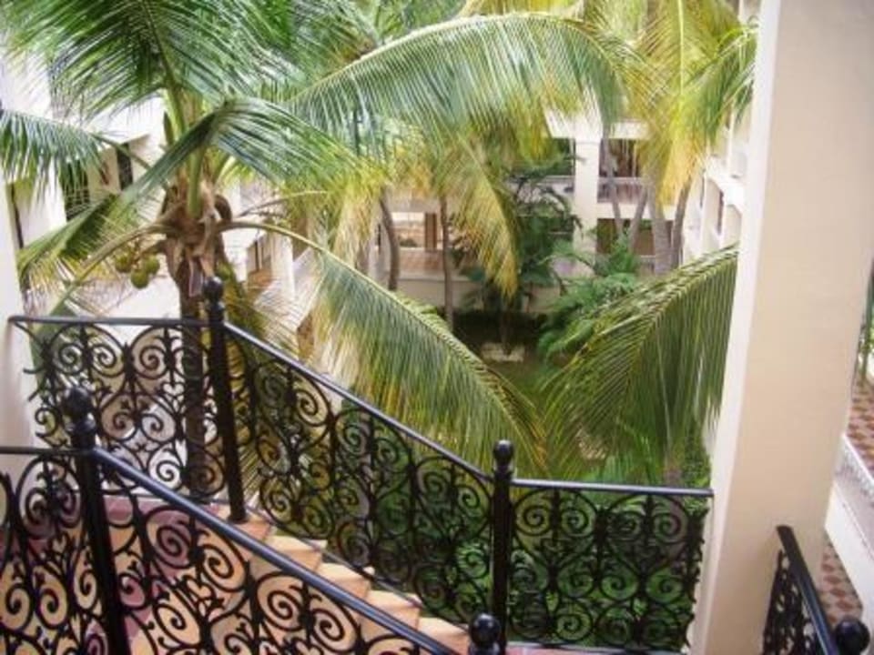 Kleine Gärten zwischen den Hotelgebäuden Hotel Riu Palace Punta Cana