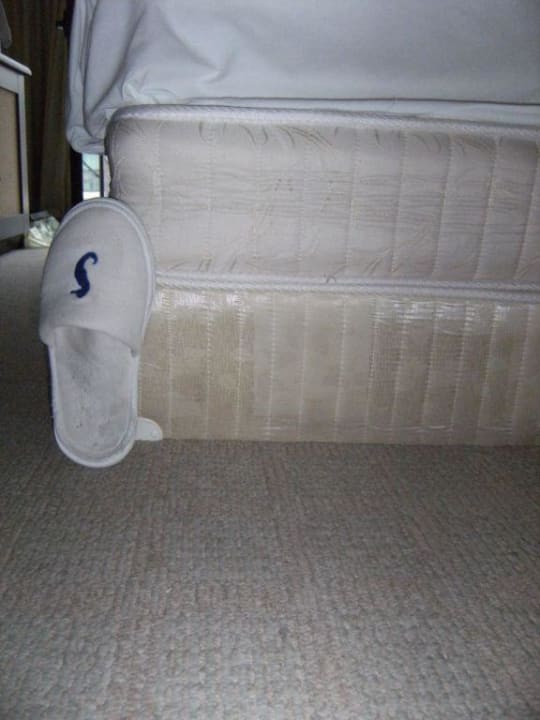 Die Höhe des Bettes Hotel Lion Sunny Beach