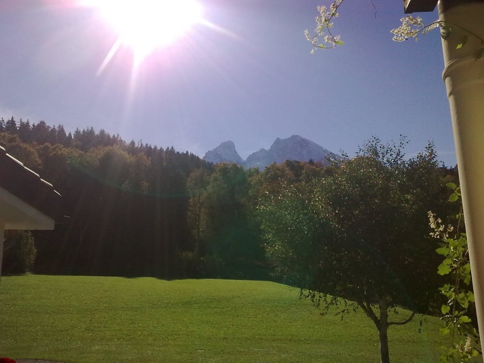Blick aus dem Zimmer Alm- & Wellnesshotel Alpenhof