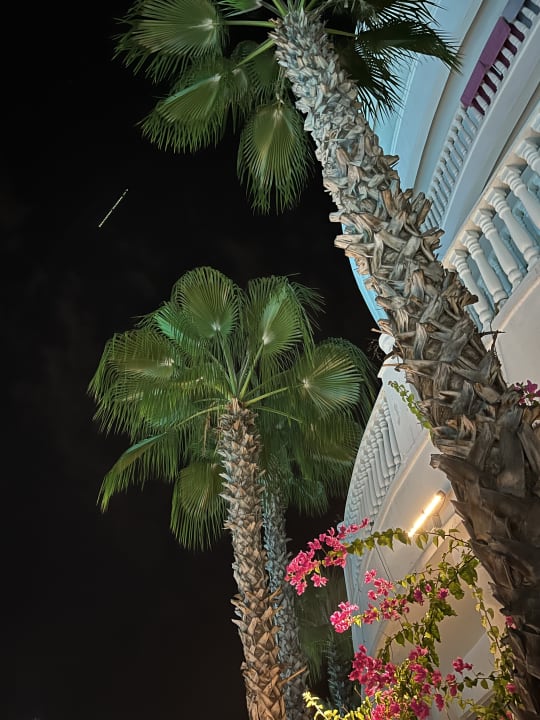 Gartenanlage Alba Queen Hotel