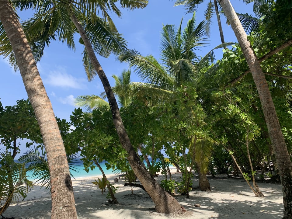 Gartenanlage Filitheyo Island Resort