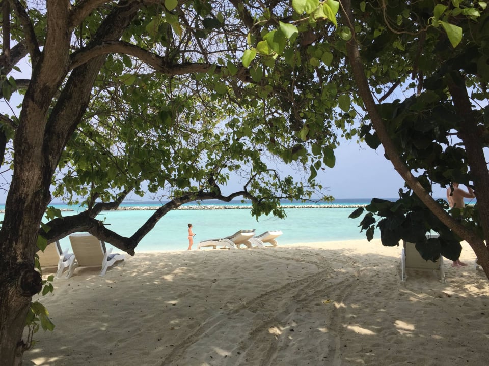 Ostseite Bungalows  Summer Island Maldives