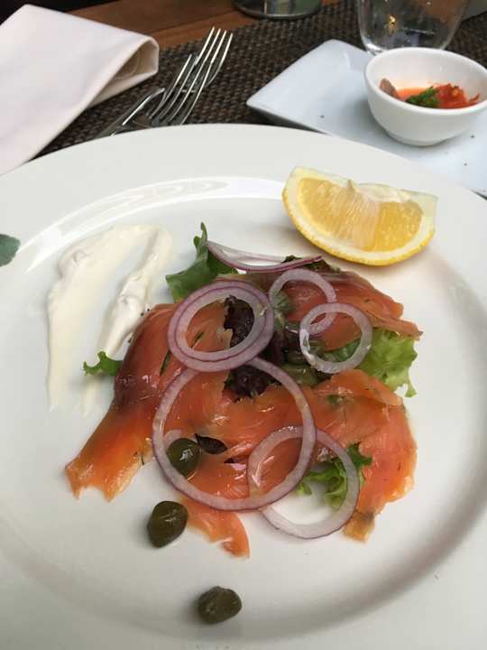 Gastro Acanthus Cennet Barut Collection