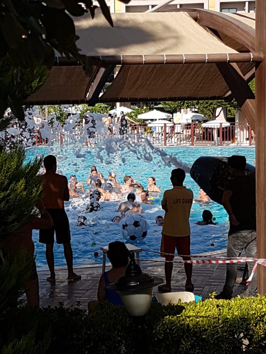 Pool Aydinbey Kings Palace & Spa