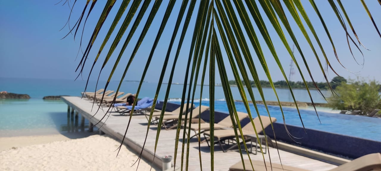 Pool Kuramathi Maldives