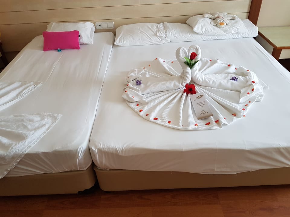 Zimmer Adalya ArtSide