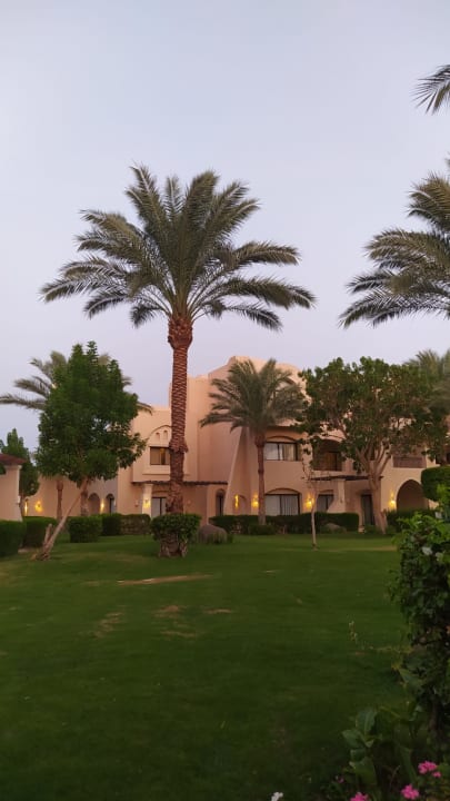 Gartenanlage JAZ Neo Saraya Palms