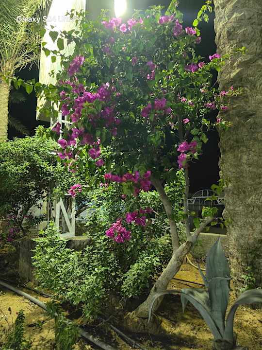 Gartenanlage Le Jardin Aqua Park Resort