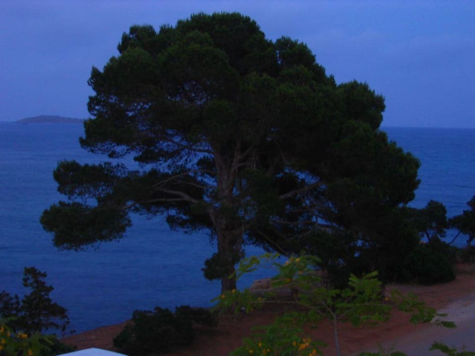 Blick aus dem Zimmer ber Dämmerung Grupotel Santa Eularia & Spa - Adults only